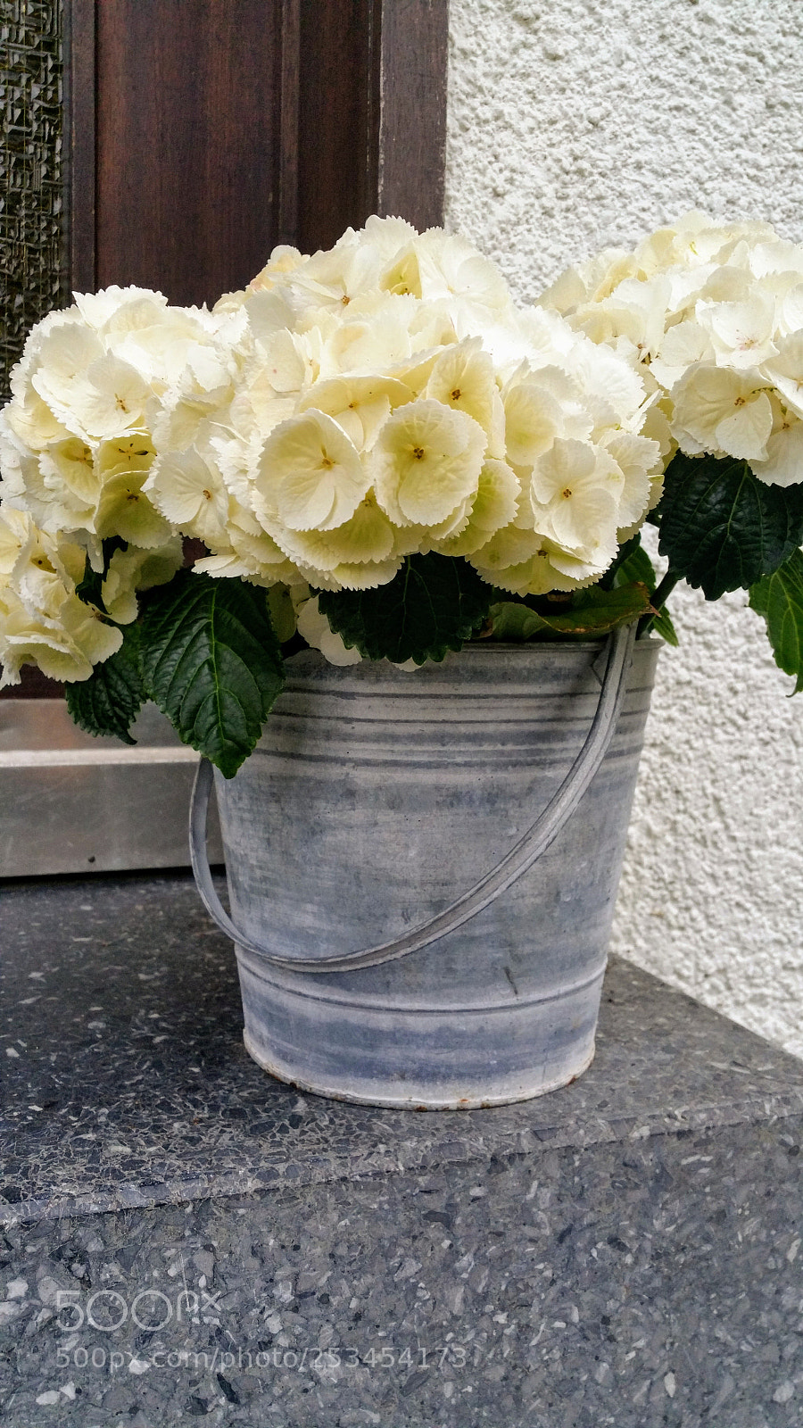Samsung Galaxy Note4 sample photo. Untitled photography