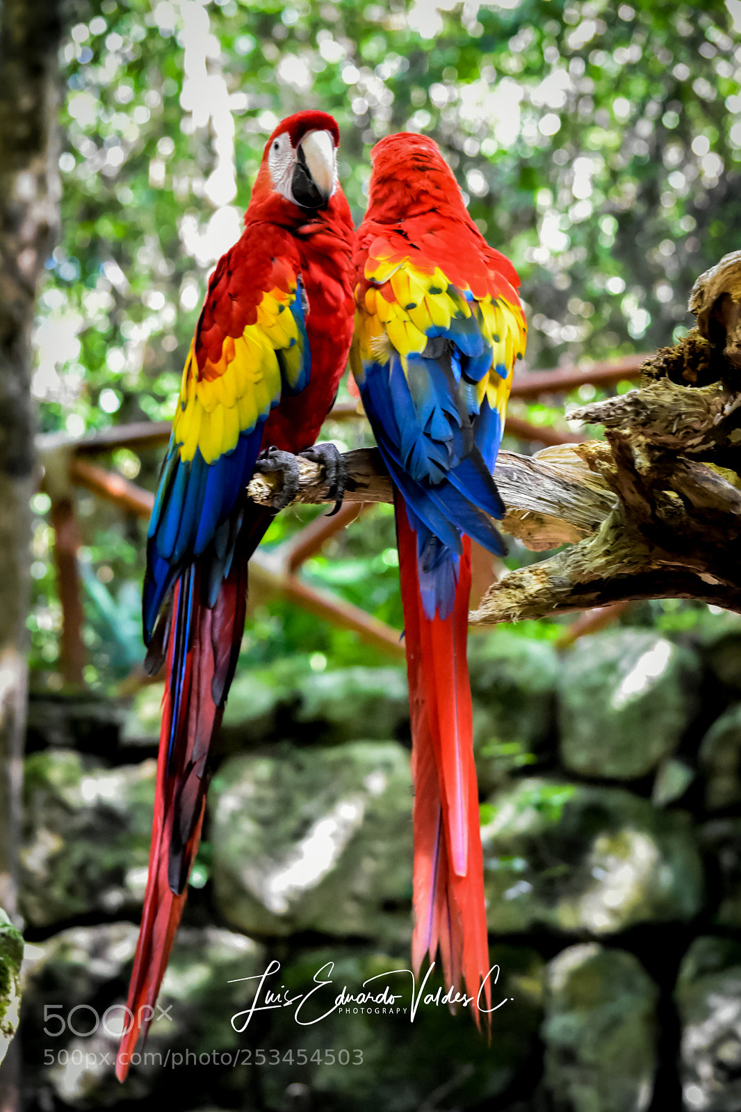 Nikon D7200 sample photo. Color! photography