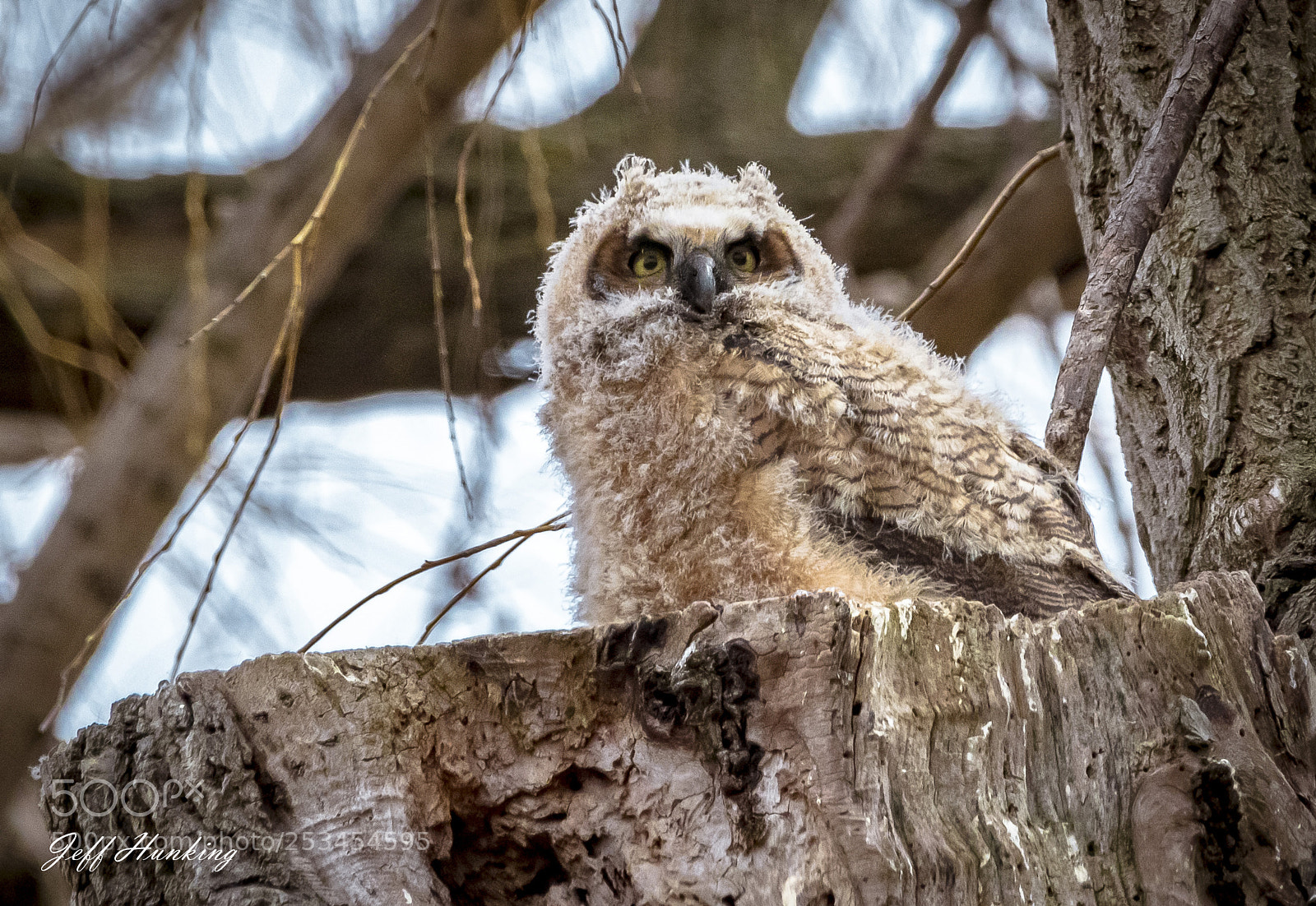 Canon EOS 7D Mark II sample photo. Wanting to fly photography