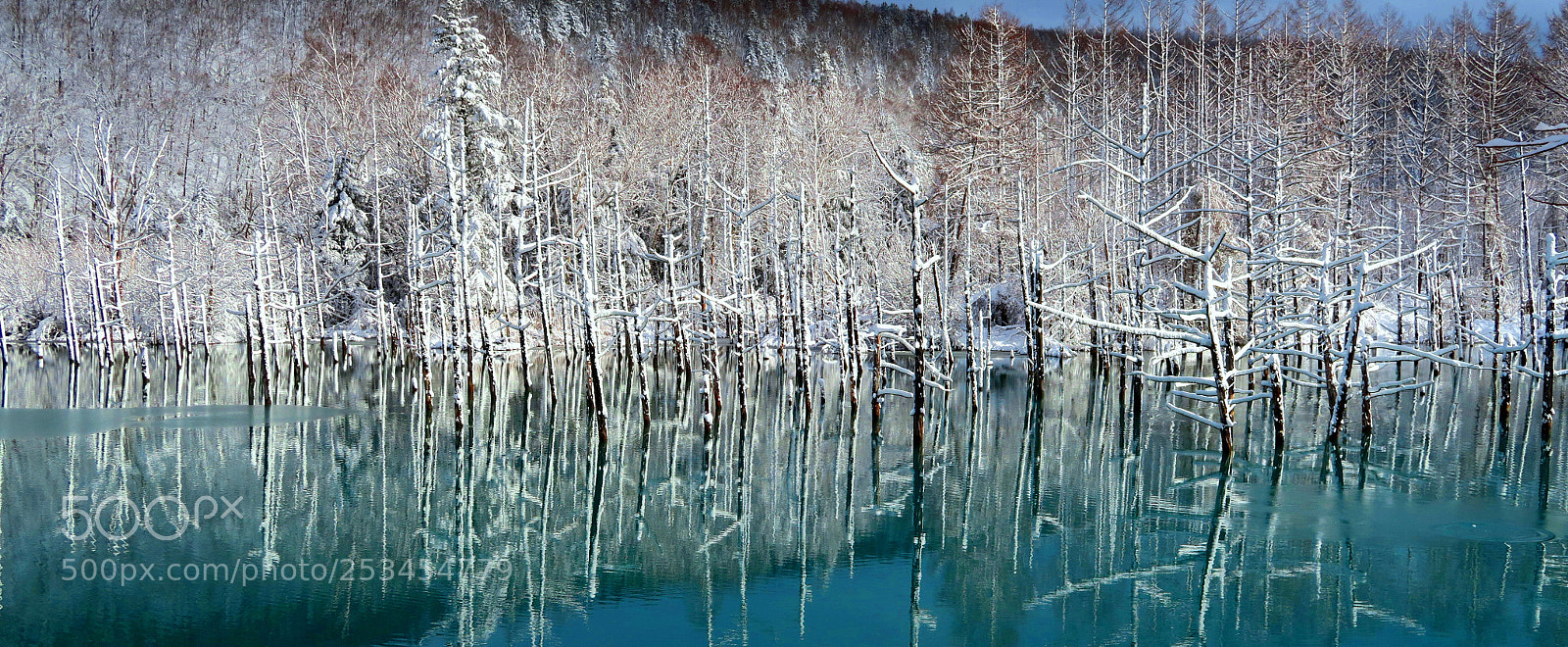 Canon PowerShot G7 X sample photo. Hokkaido x winter photography