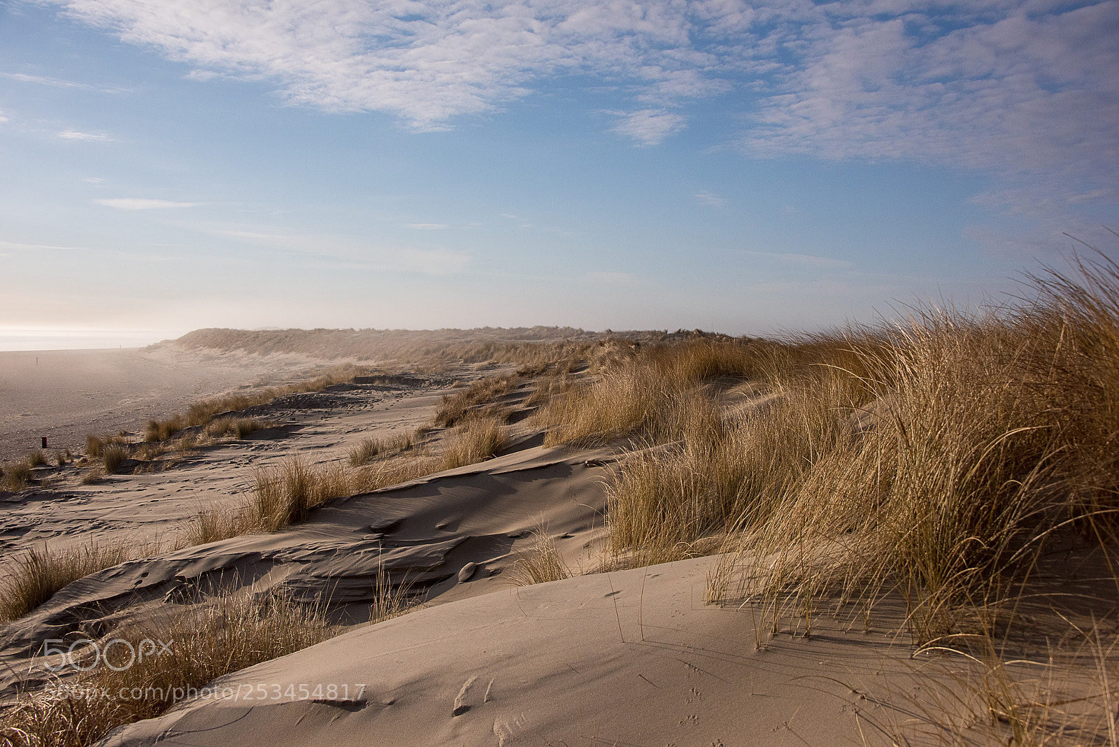 Nikon D810 sample photo. Dunes photography