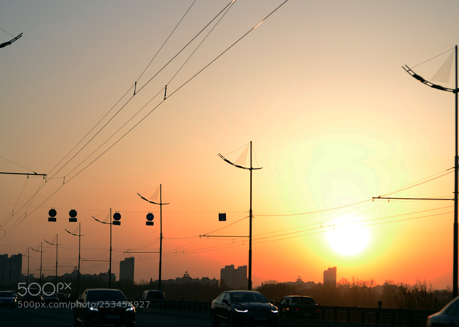 Nikon D3100 sample photo. Untitled photography