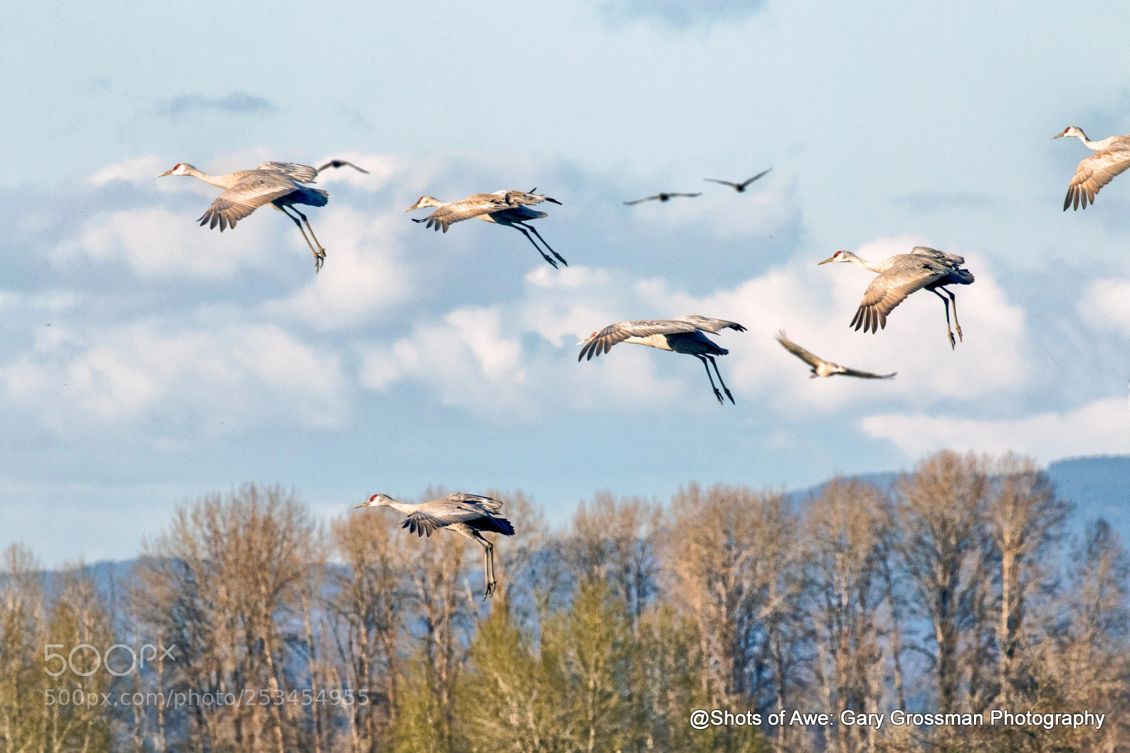 Canon EOS 7D Mark II sample photo. Sky hangers photography