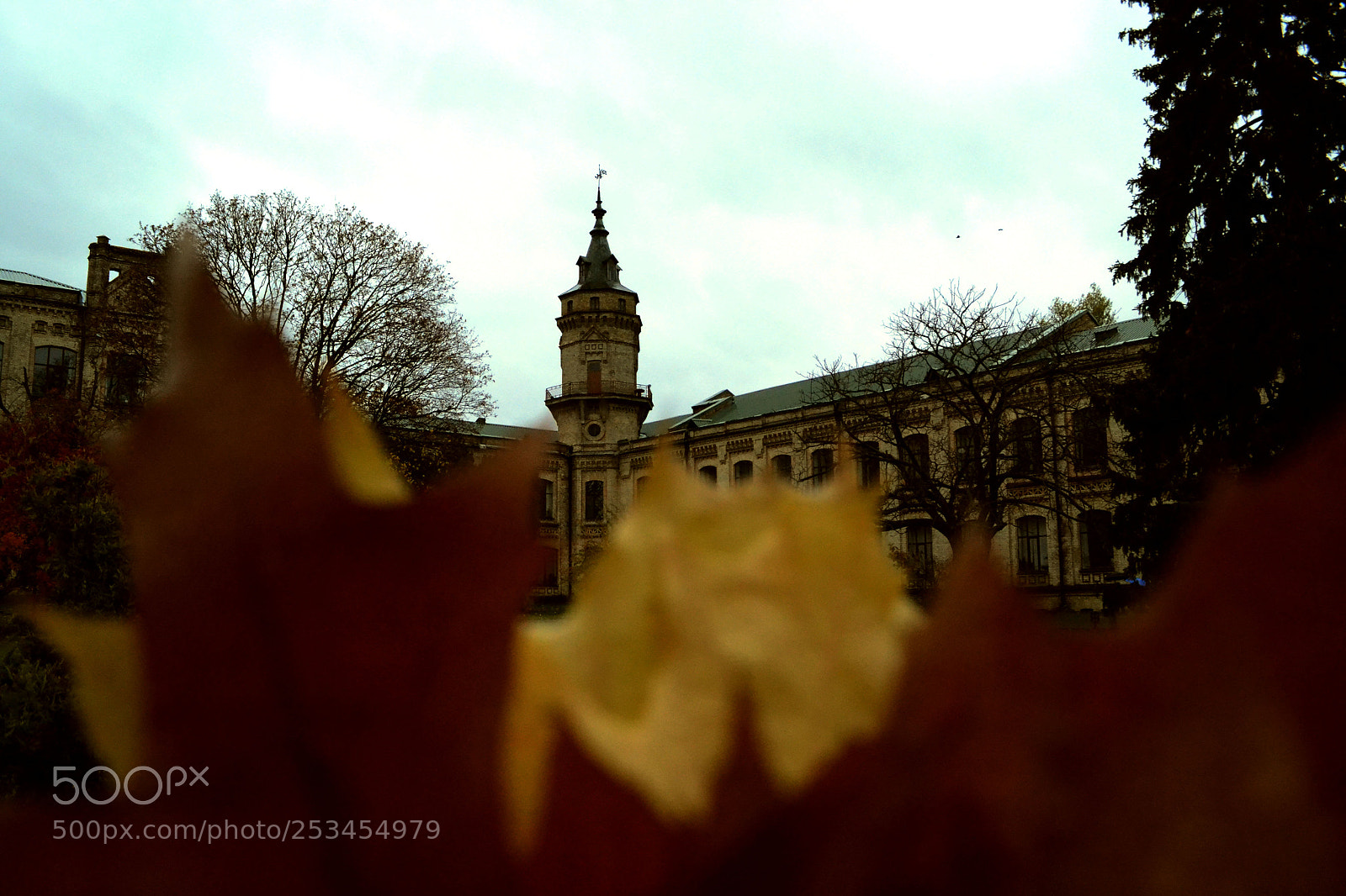 Nikon D3100 sample photo. Untitled photography