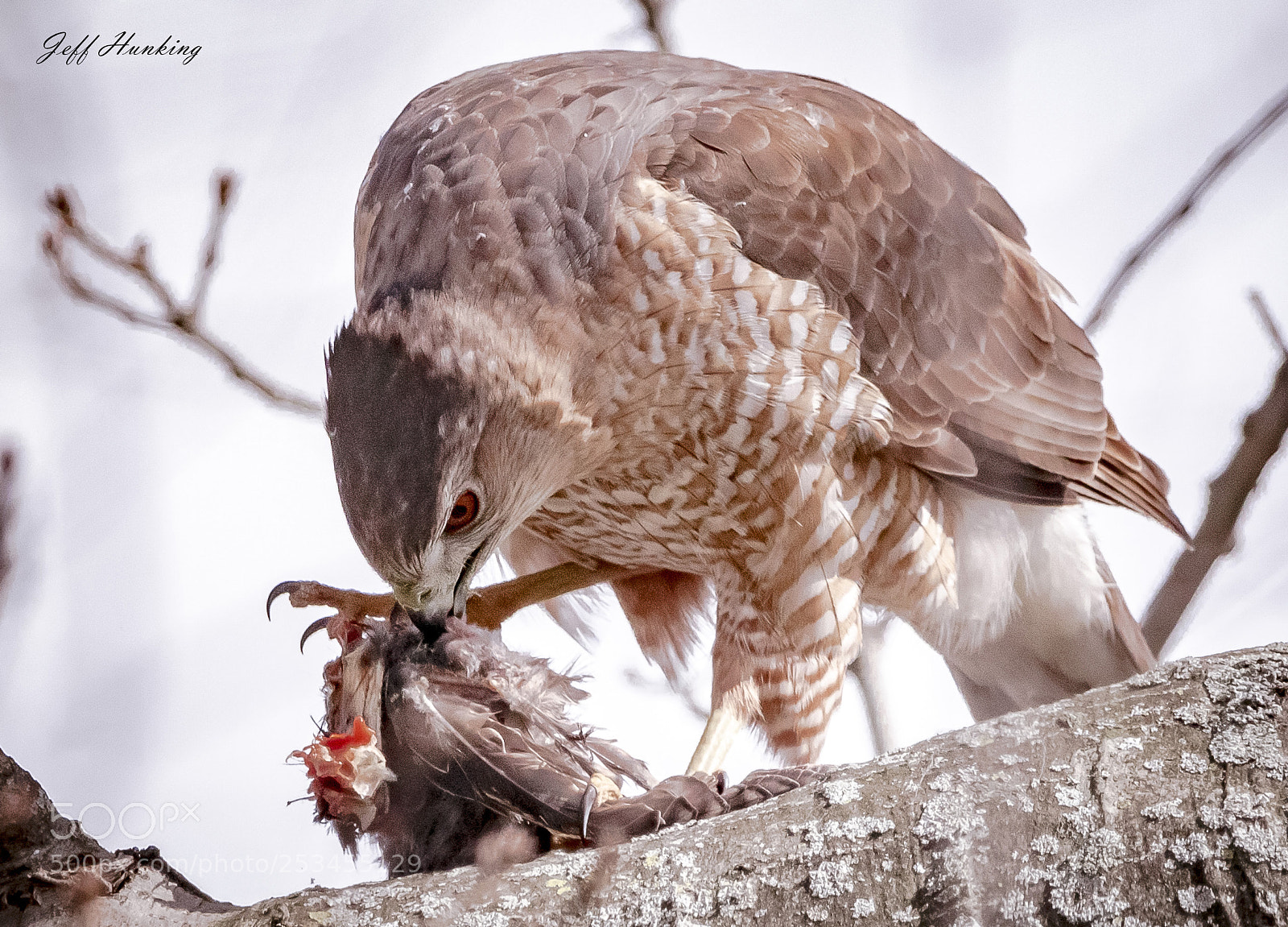 Canon EOS 7D Mark II sample photo. Feasting photography