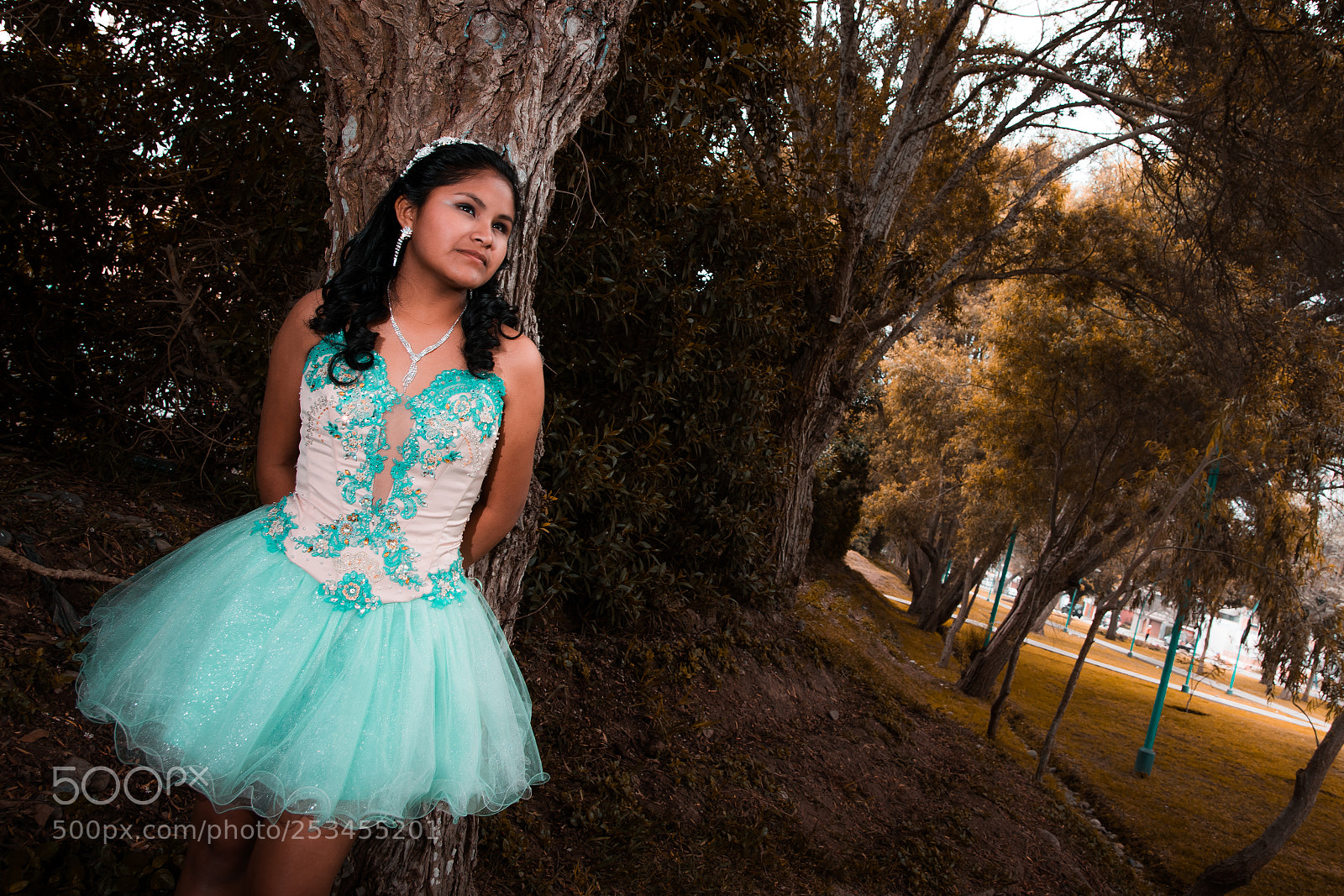 Nikon D5300 sample photo. Primavera con color de photography