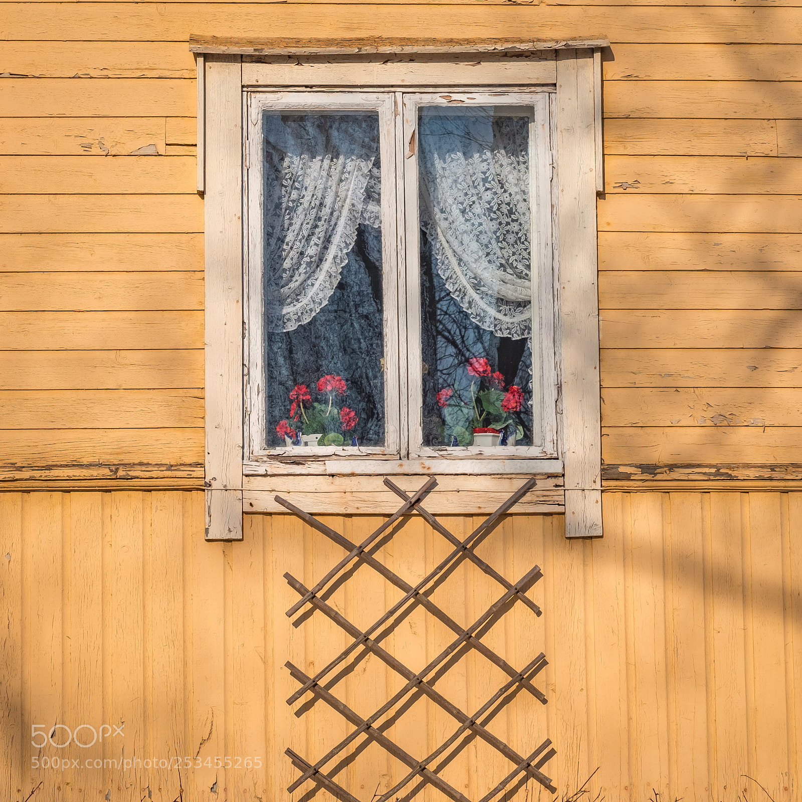 Fujifilm X-T1 sample photo. Spring afternoon photography