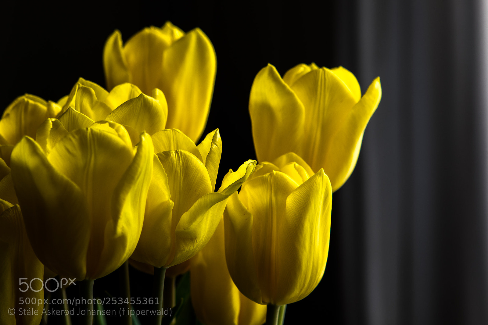 Canon EOS 7D Mark II sample photo. Middle age photography