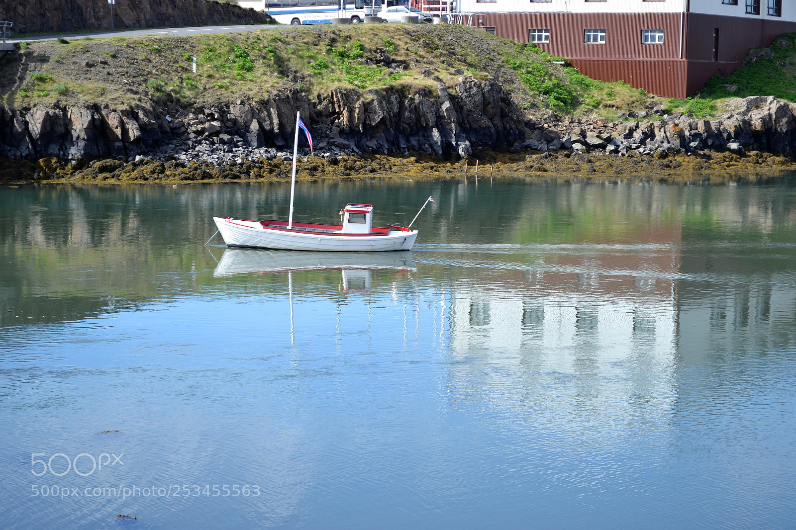 Nikon D3100 sample photo. Seeing double photography