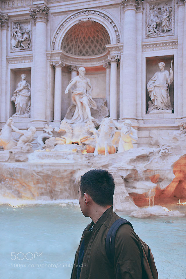 Nikon D5500 sample photo. Trevi fountain photography