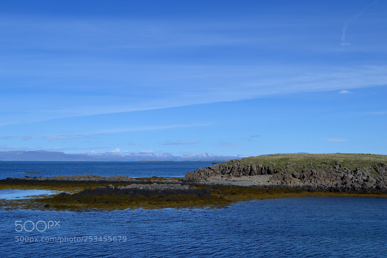 Nikon D3100 sample photo. Blue photography