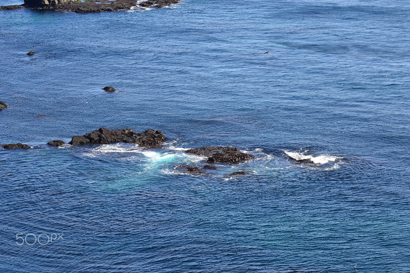Nikon D3100 sample photo. Sea rocks photography