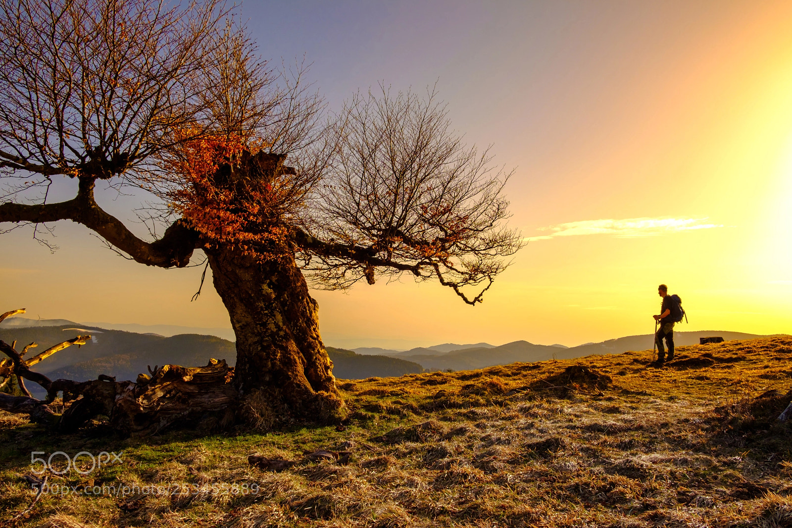 Fujifilm X-T2 sample photo. Rabenfelsen belchen photography