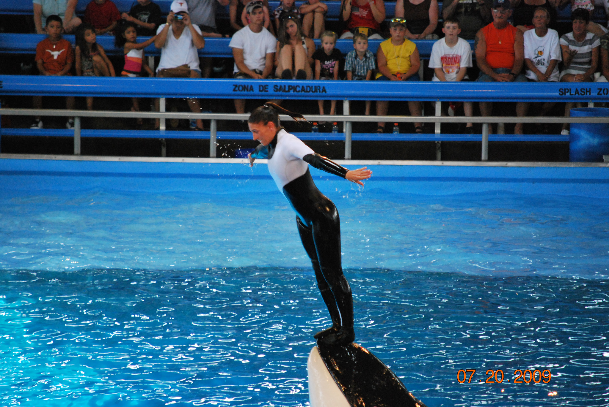 Nikon D60 sample photo. Whale show photography