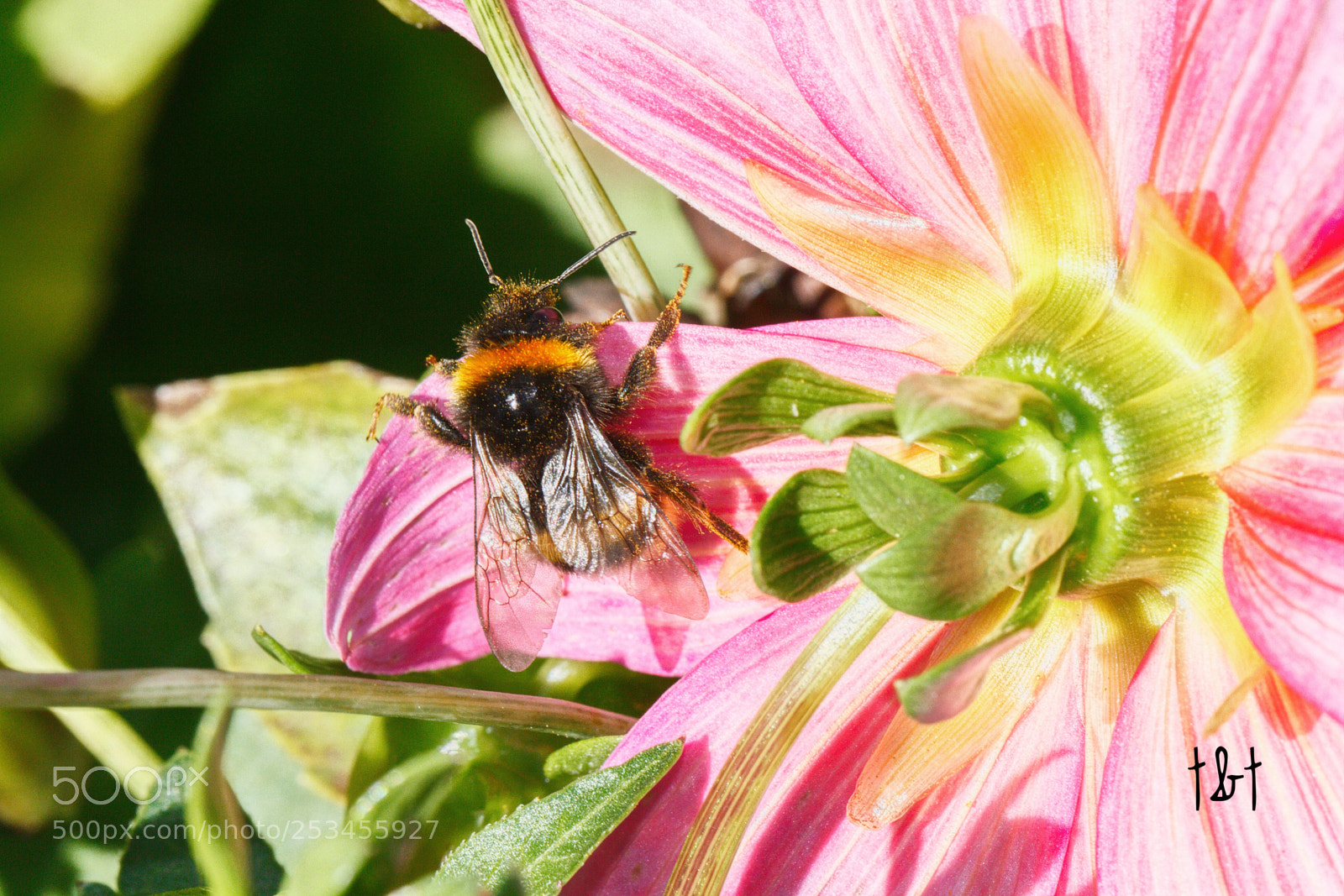 Canon EOS 7D sample photo. Untitled photography