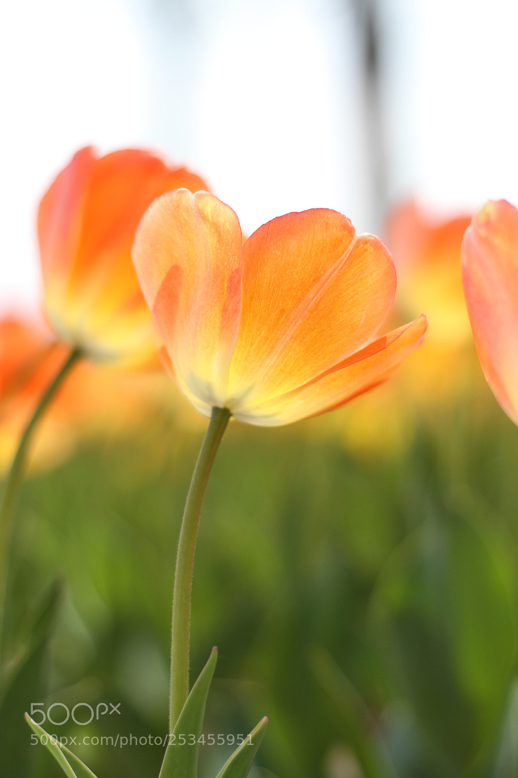 Canon EOS 7D sample photo. Untitled photography
