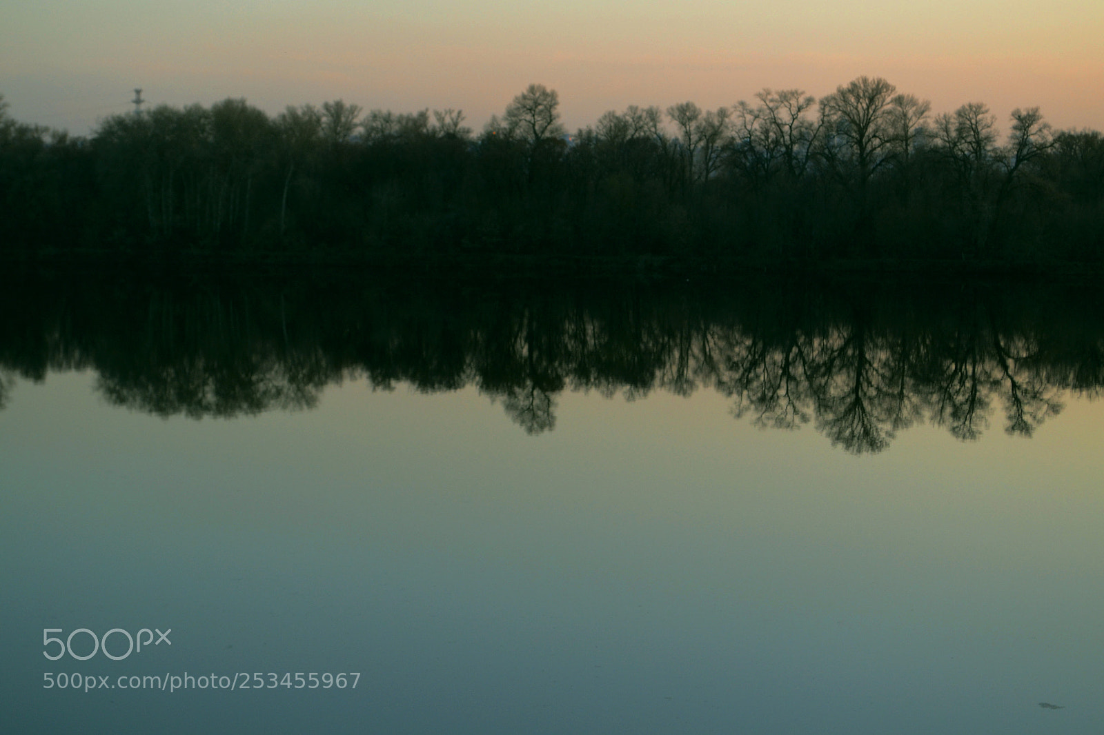 Nikon D3100 sample photo. Untitled photography