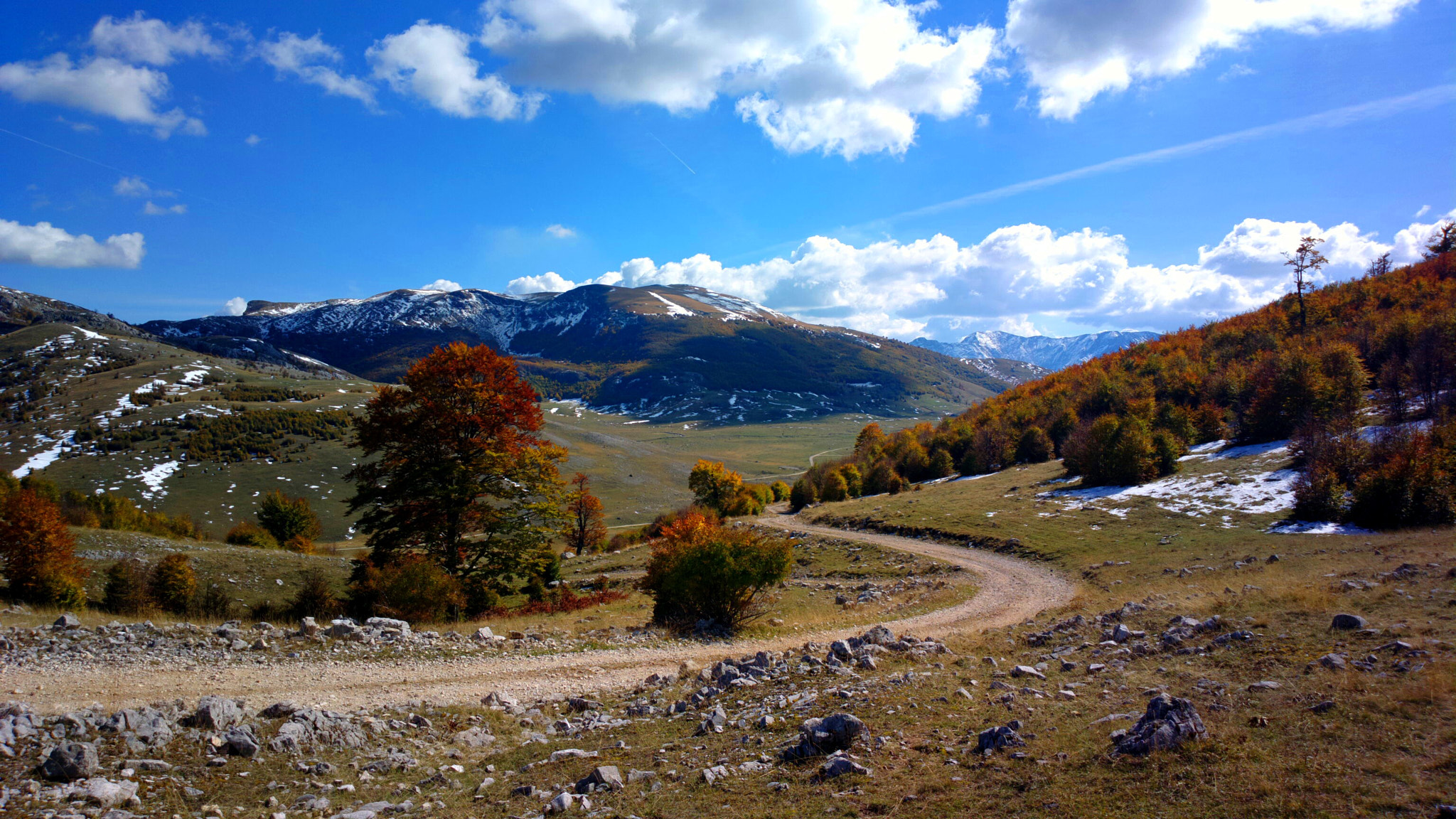 Nokia 808 PureView sample photo. October colors photography