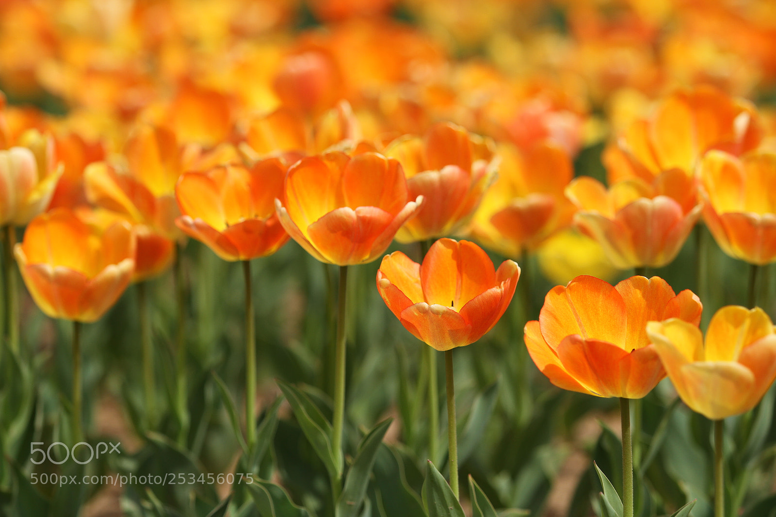 Canon EOS 7D sample photo. Untitled photography