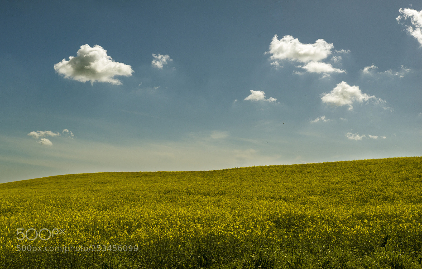 Nikon D610 sample photo. La primavera photography