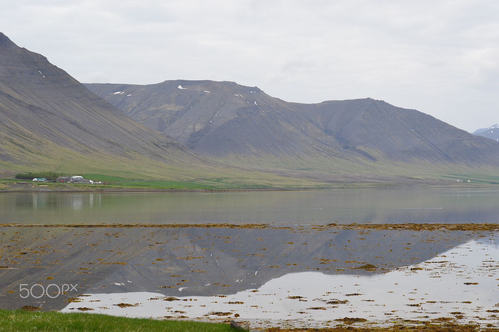 Nikon D3100 sample photo. Lake reflection photography