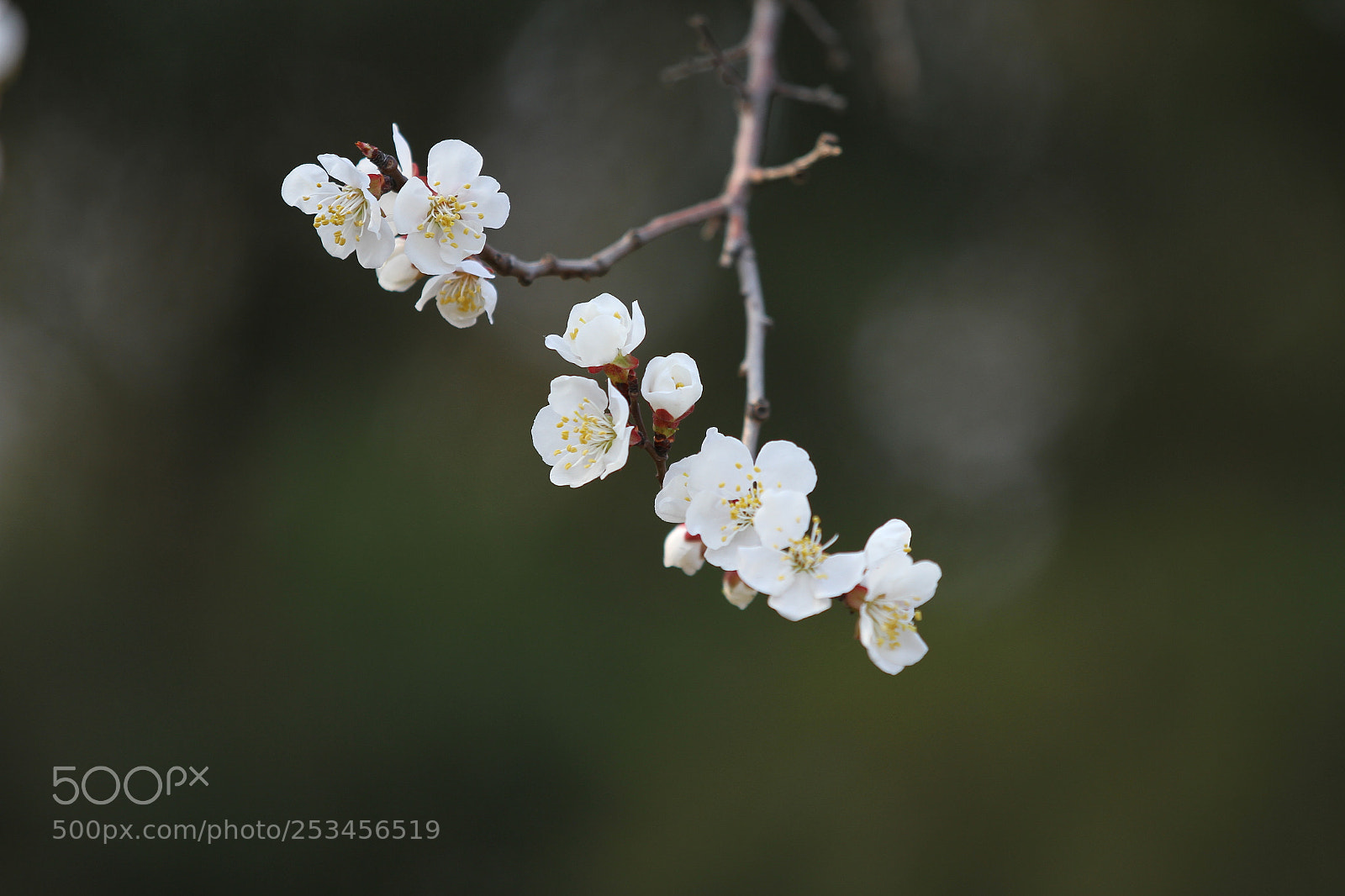 Canon EOS 7D sample photo. Untitled photography