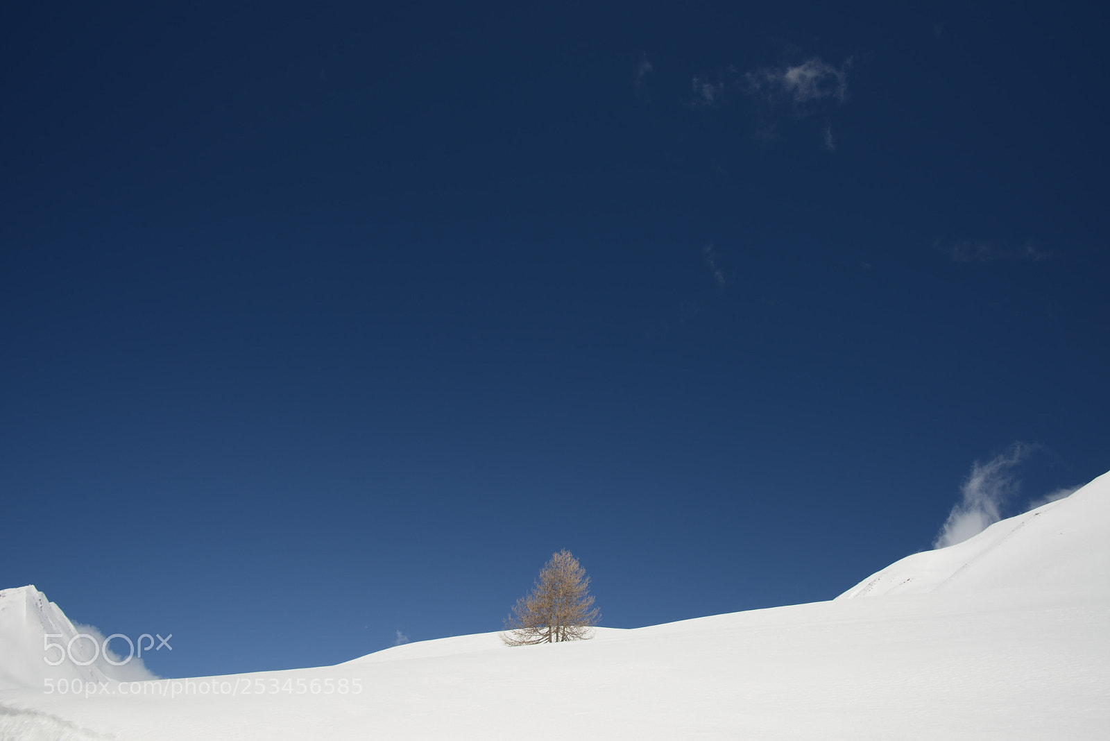 Nikon D800 sample photo. Untitled photography