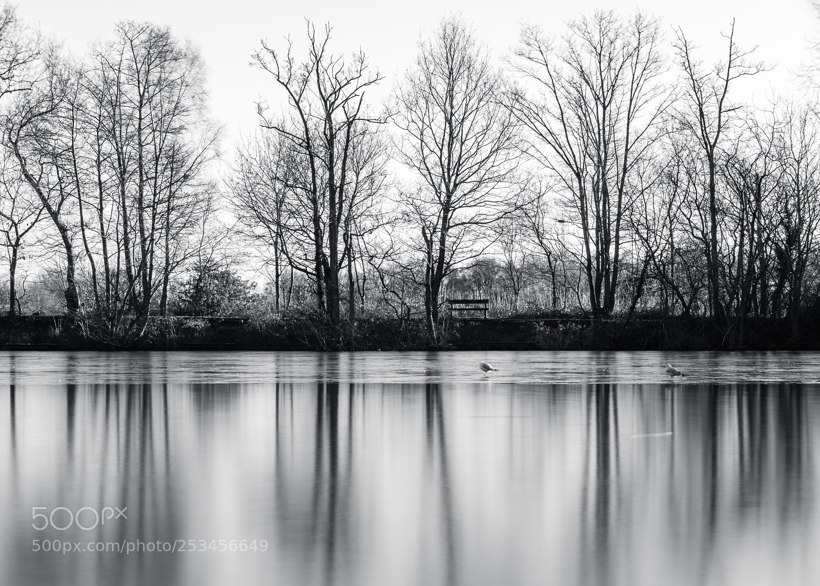 Nikon D810 sample photo. Slow thaw on the photography
