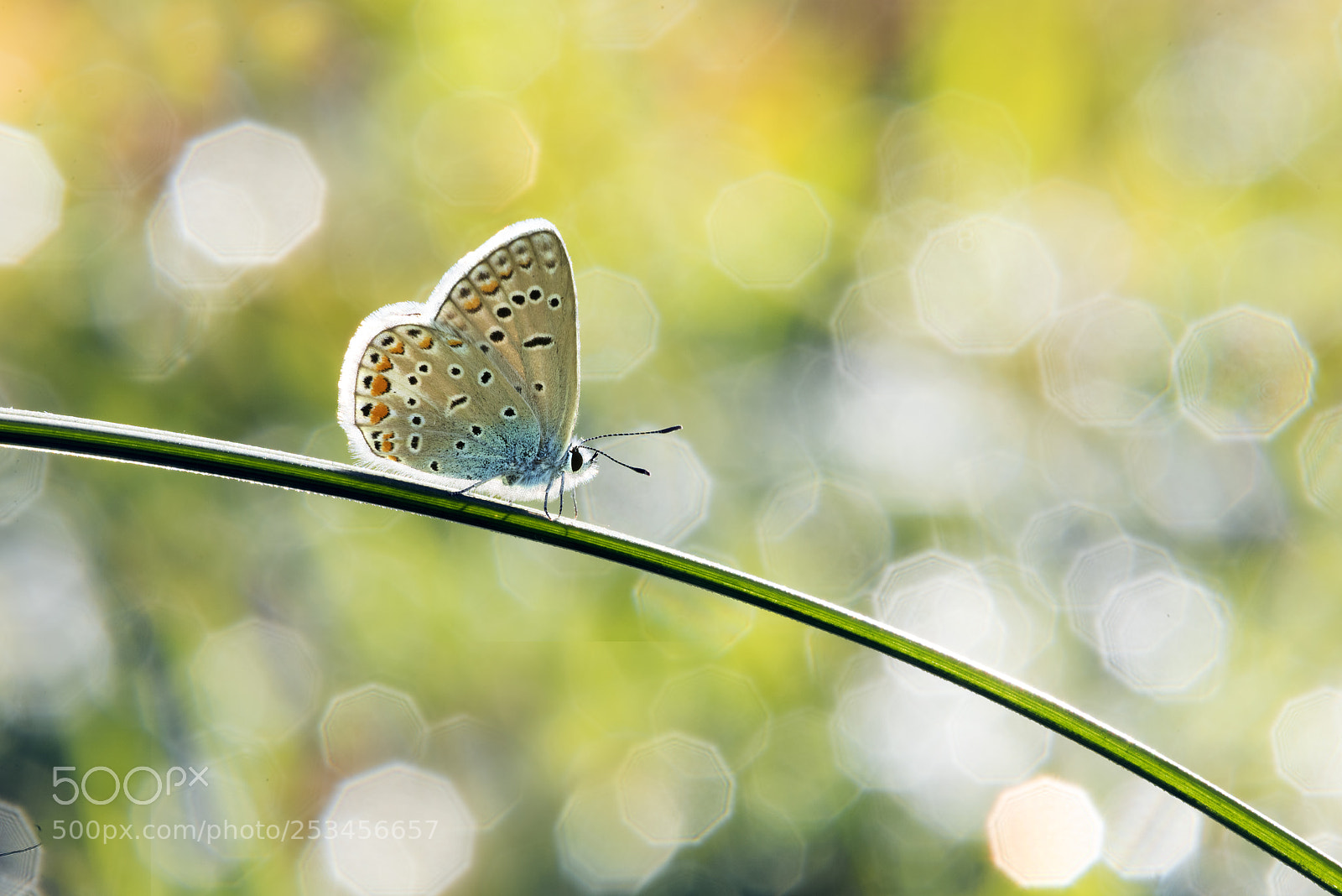 Nikon D810 sample photo. Untitled photography