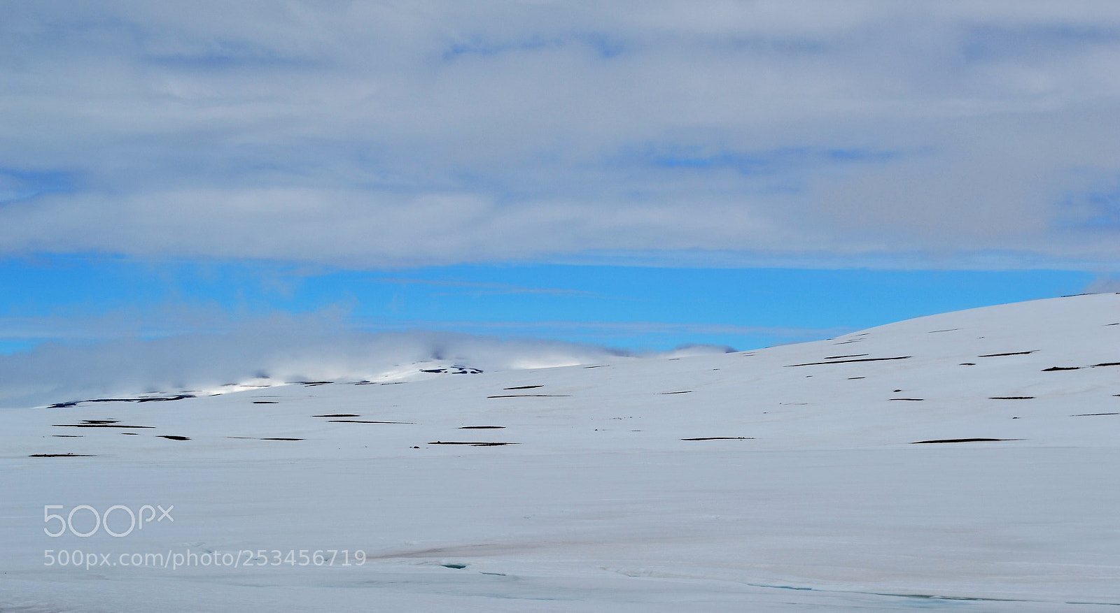 Nikon D3100 sample photo. Snow field photography