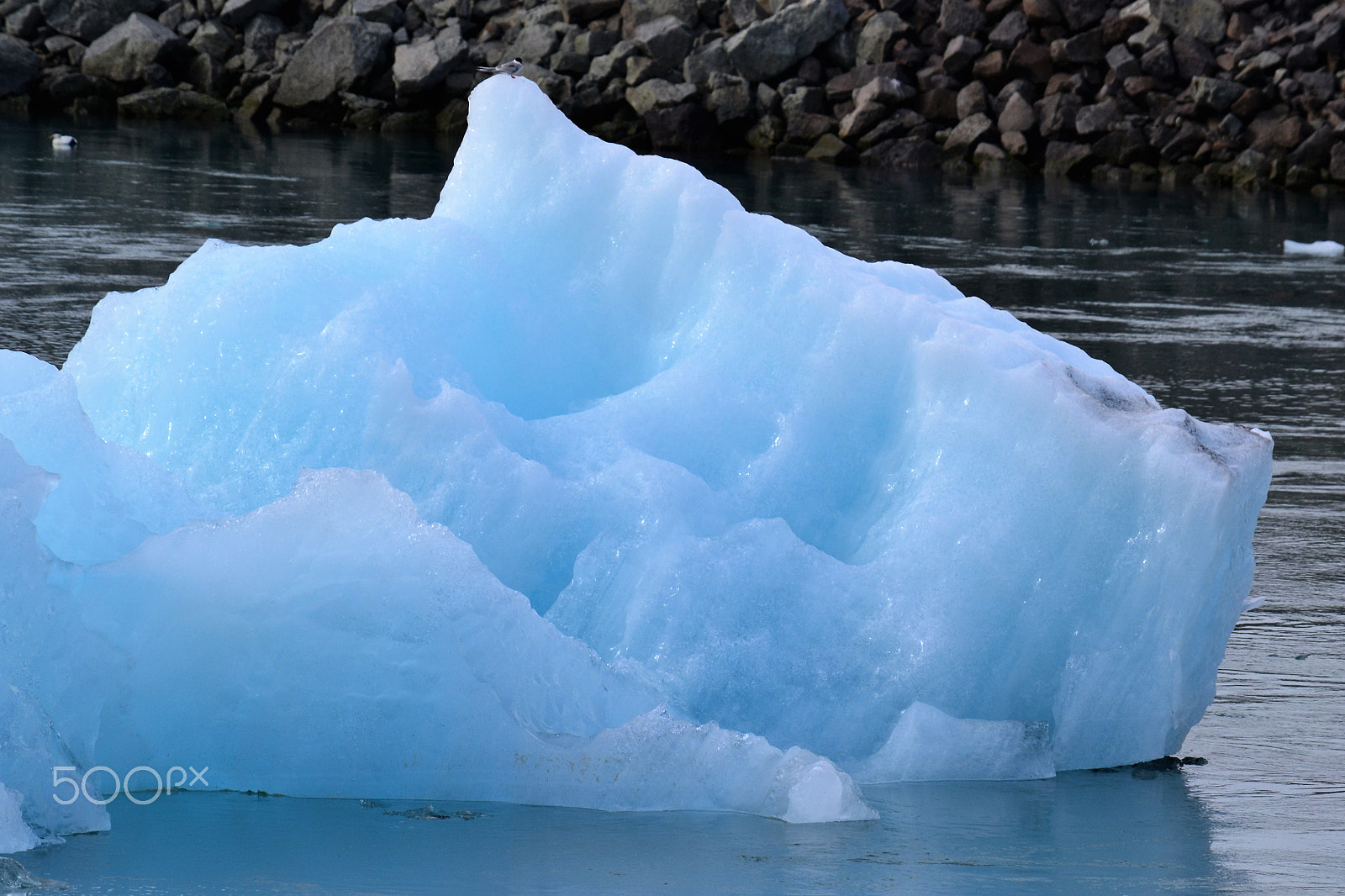 Nikon D3100 sample photo. Blue ice photography
