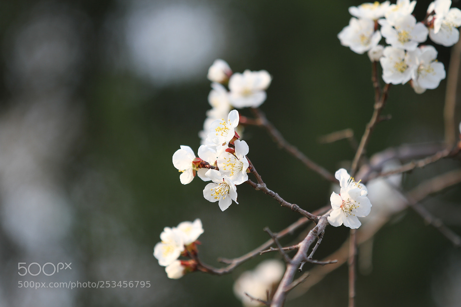 Canon EOS 7D sample photo. Untitled photography