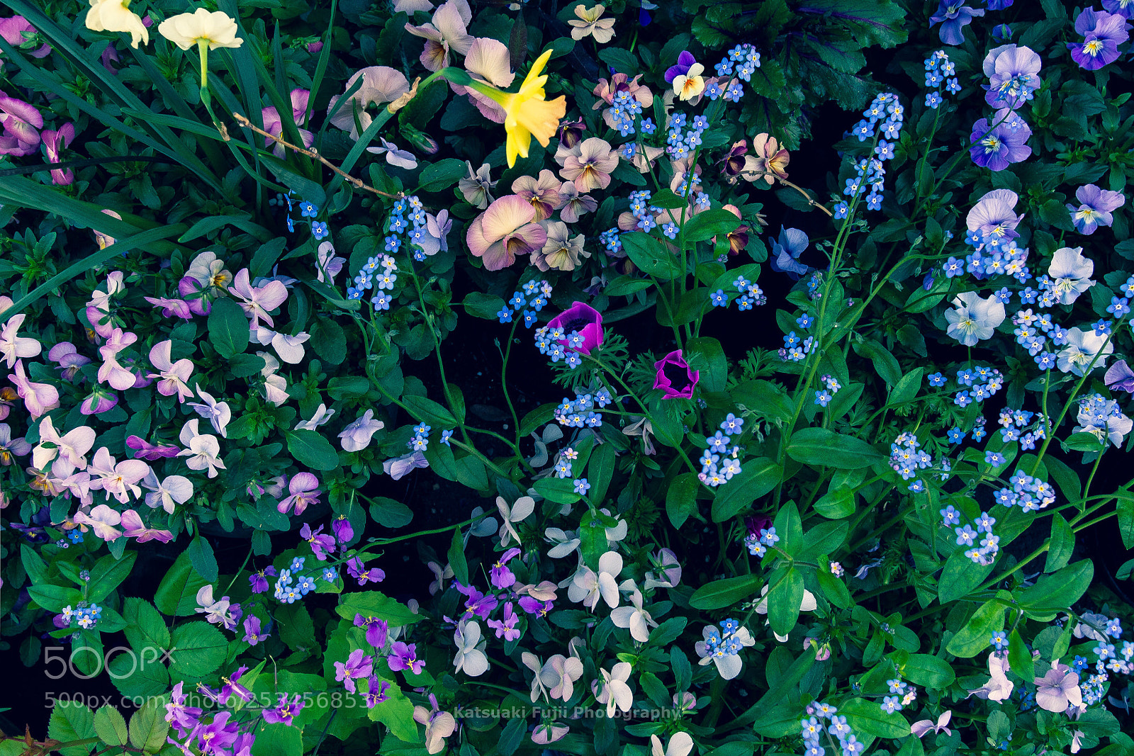Olympus OM-D E-M10 sample photo. Blue colors photography