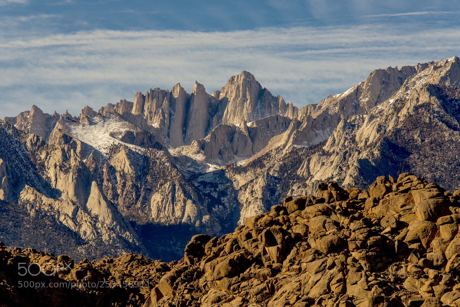 Nikon D600 sample photo. Lone pine's backyard photography