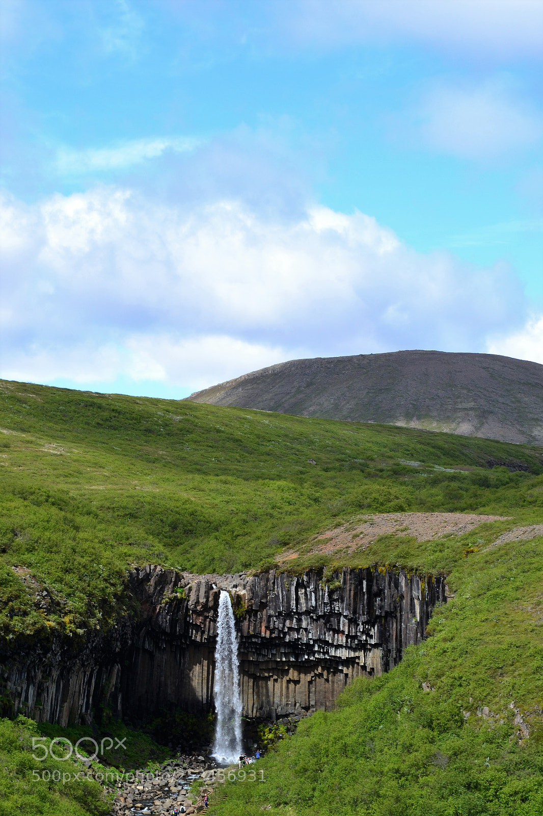Nikon D3100 sample photo. Watering hole photography