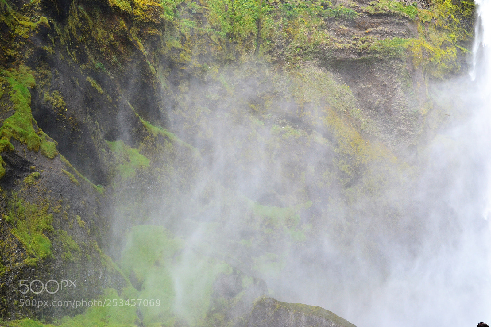 Nikon D3100 sample photo. Misting photography
