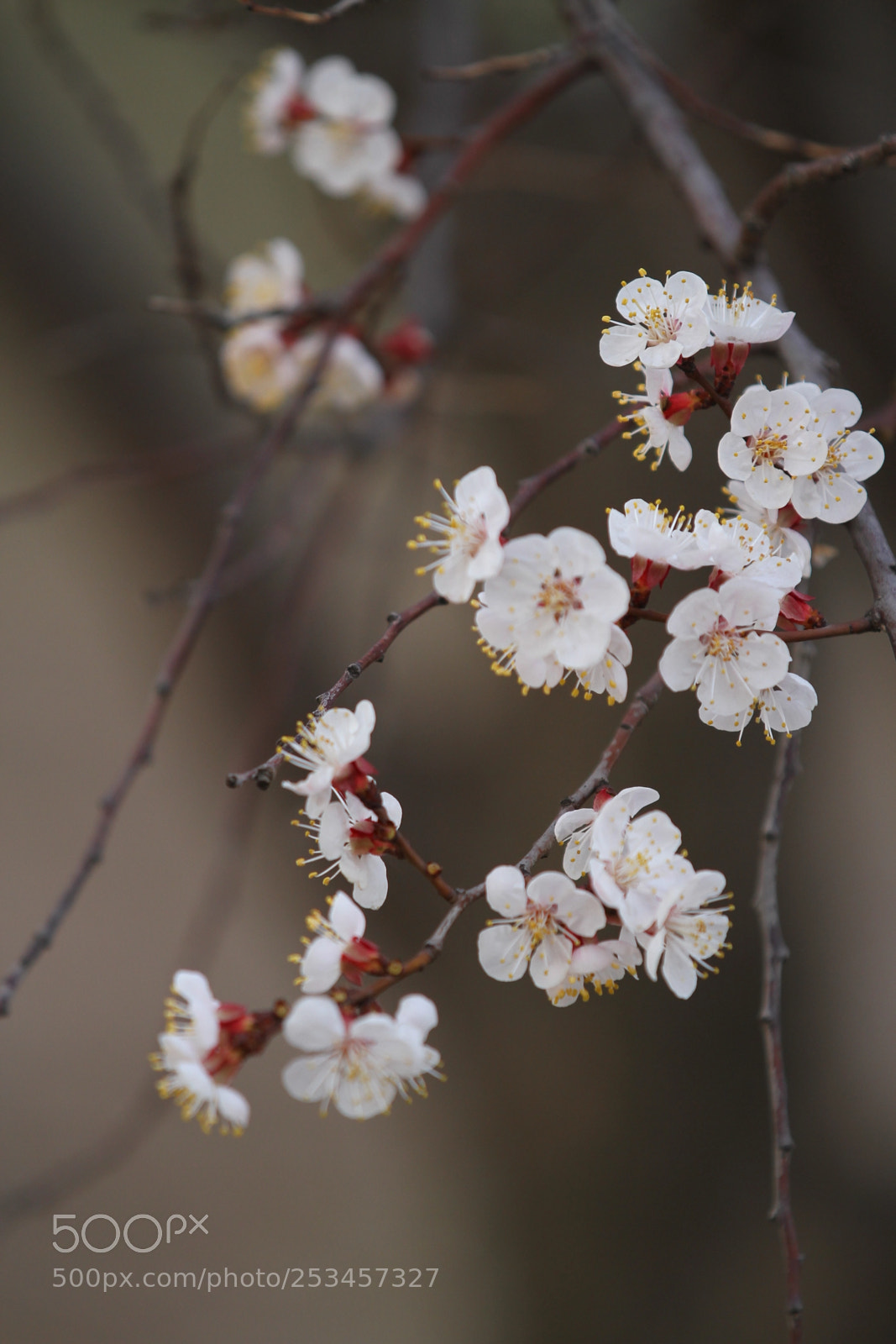 Canon EOS 7D sample photo. Untitled photography