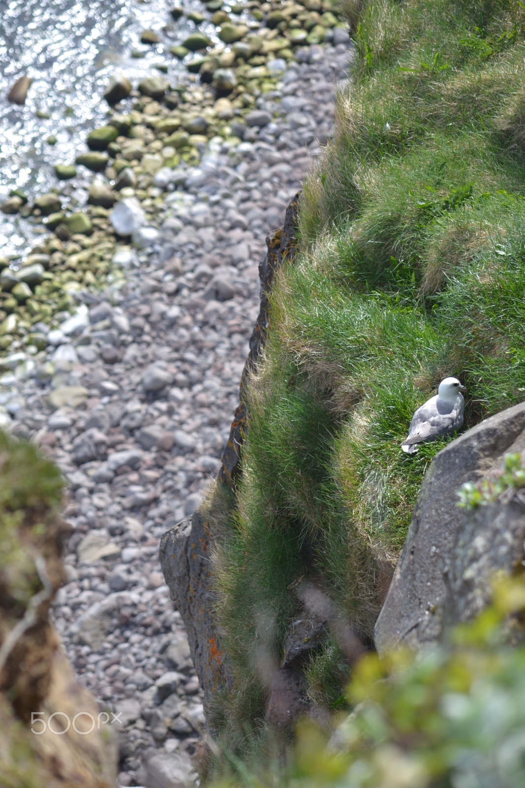 Nikon D3100 sample photo. Living on the edge photography