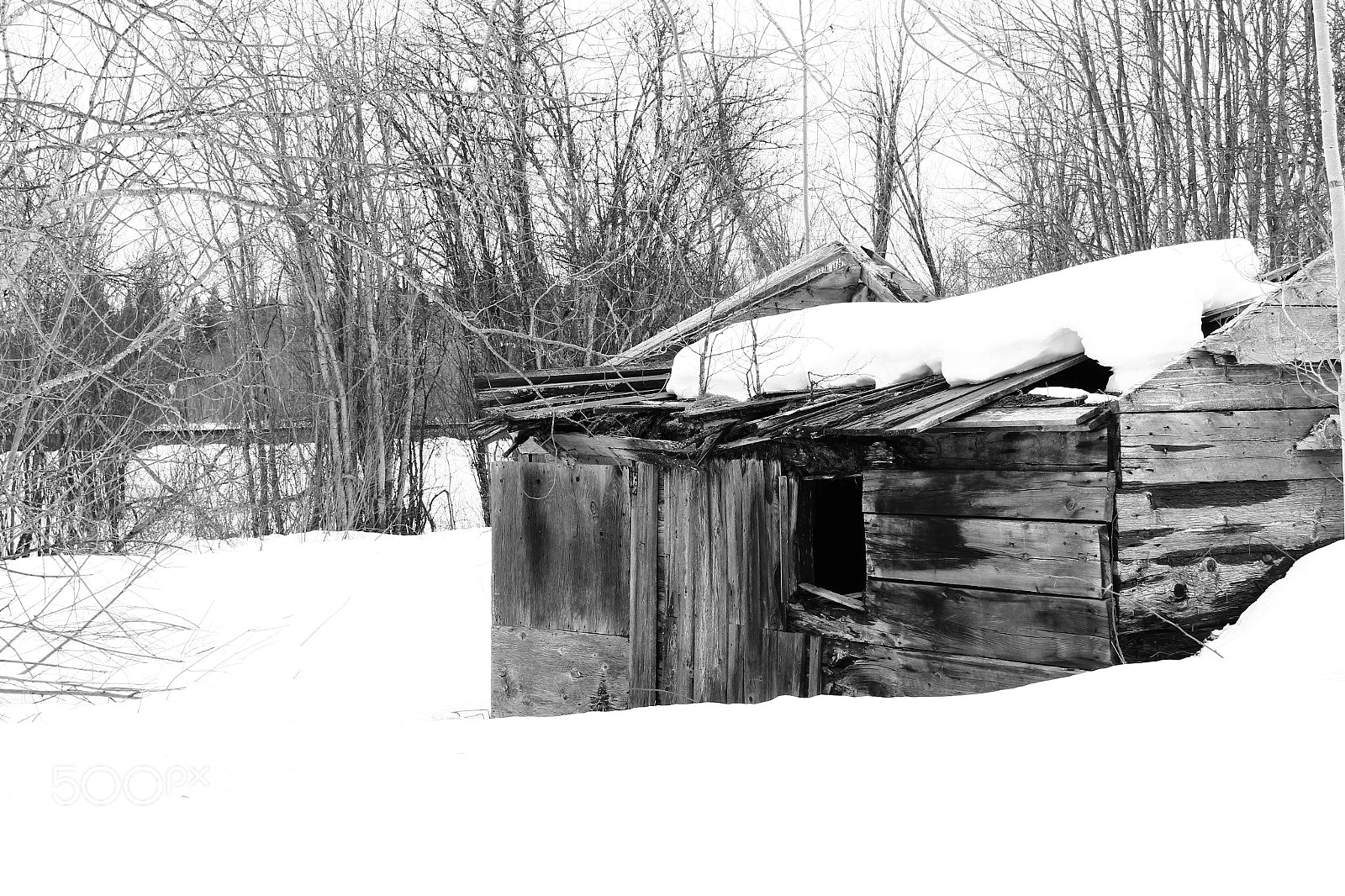 Canon EOS 600D (Rebel EOS T3i / EOS Kiss X5) sample photo. Desolate and abandoned wood photography