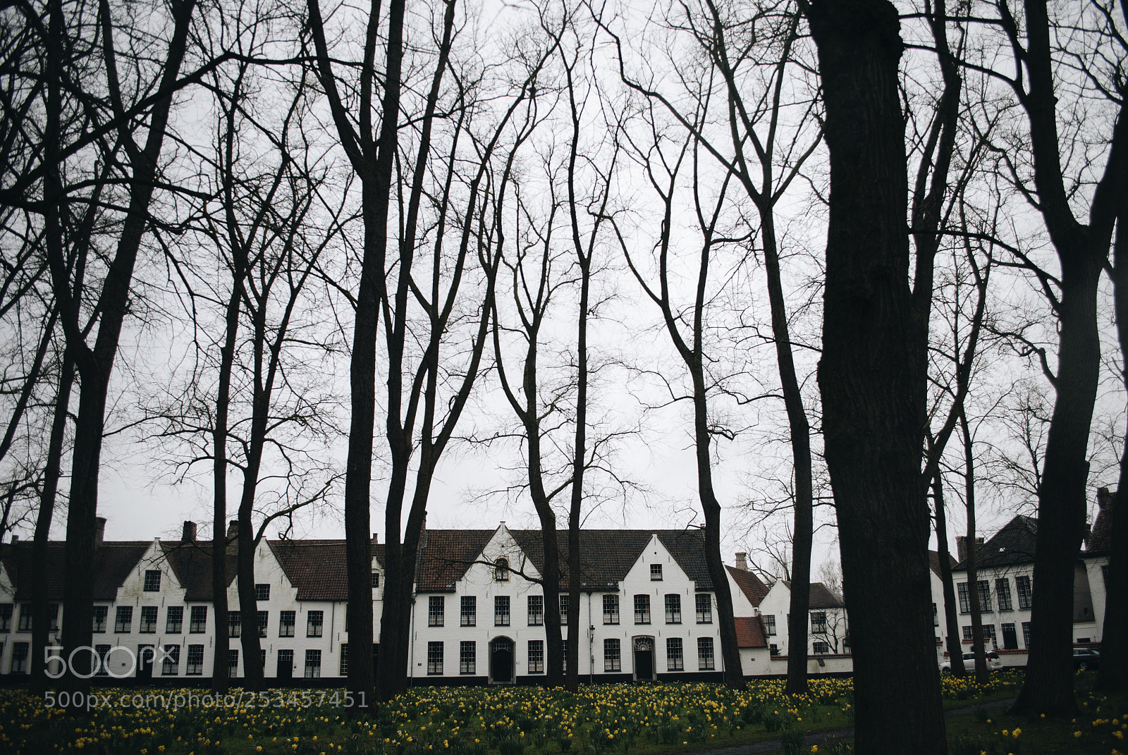 Nikon D3000 sample photo. Brugge, belgium. photography