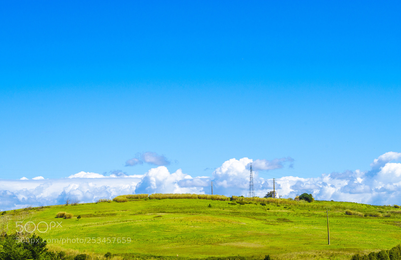 Nikon D5100 sample photo. Sunny hill photography
