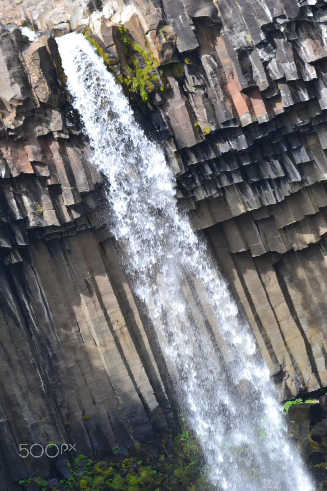 Nikon D3100 sample photo. Squarefalls photography