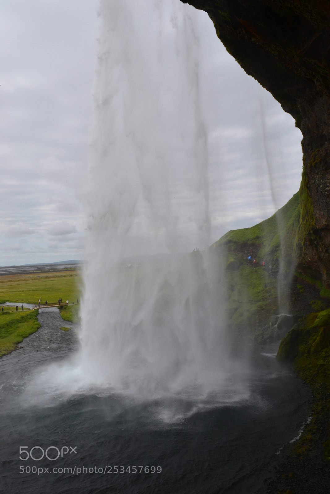 Nikon D3100 sample photo. View from behind photography