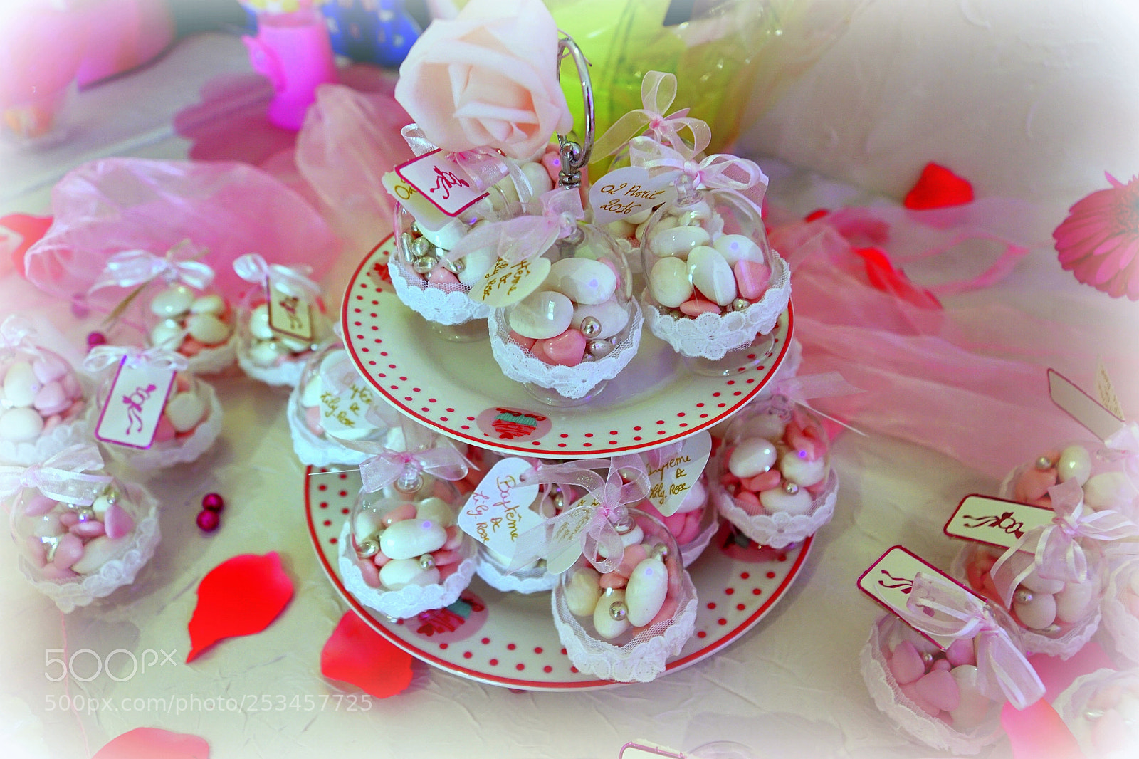Sony DT 16-50mm F2.8 SSM sample photo. Ab photography