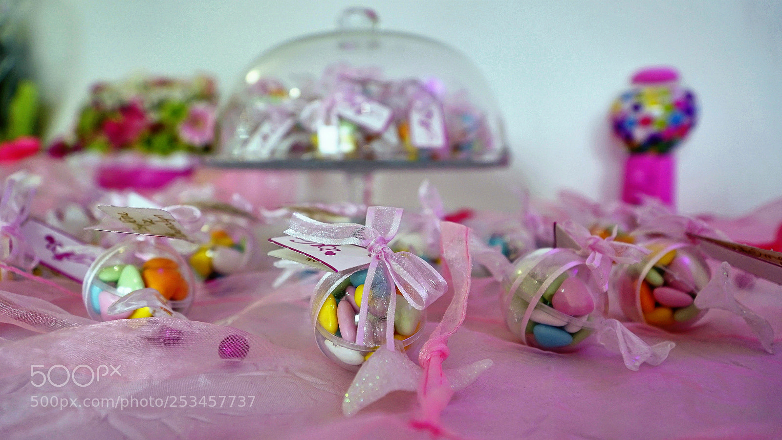 Sony DT 16-50mm F2.8 SSM sample photo. 20.jpg photography
