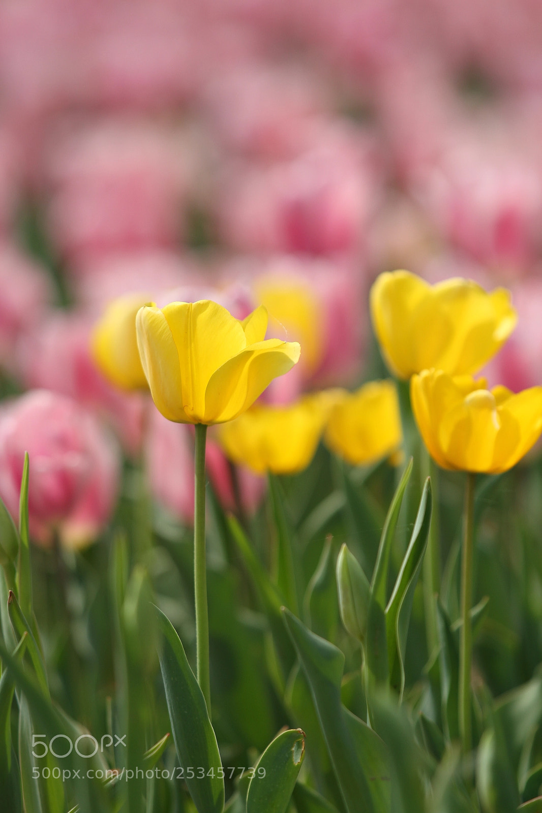 Canon EOS 7D sample photo. Untitled photography
