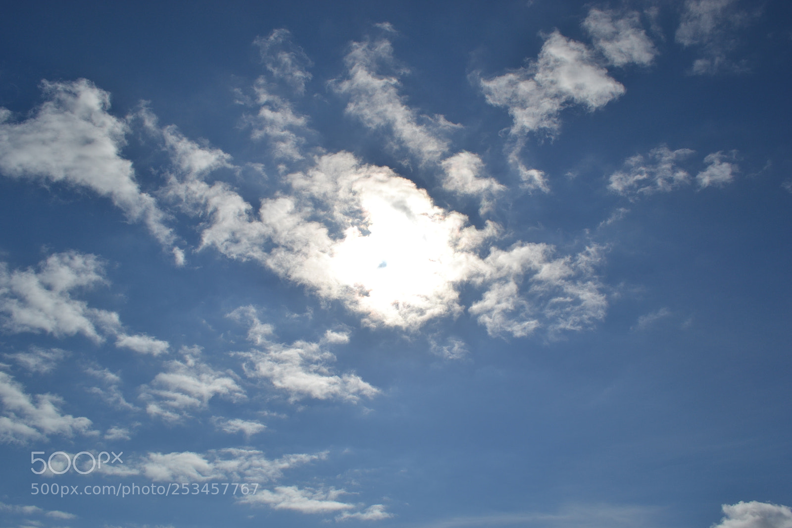 Nikon D3100 sample photo. Sunlit sky photography