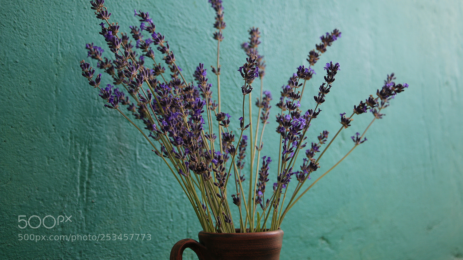 Canon EOS 70D sample photo. Lavender photography