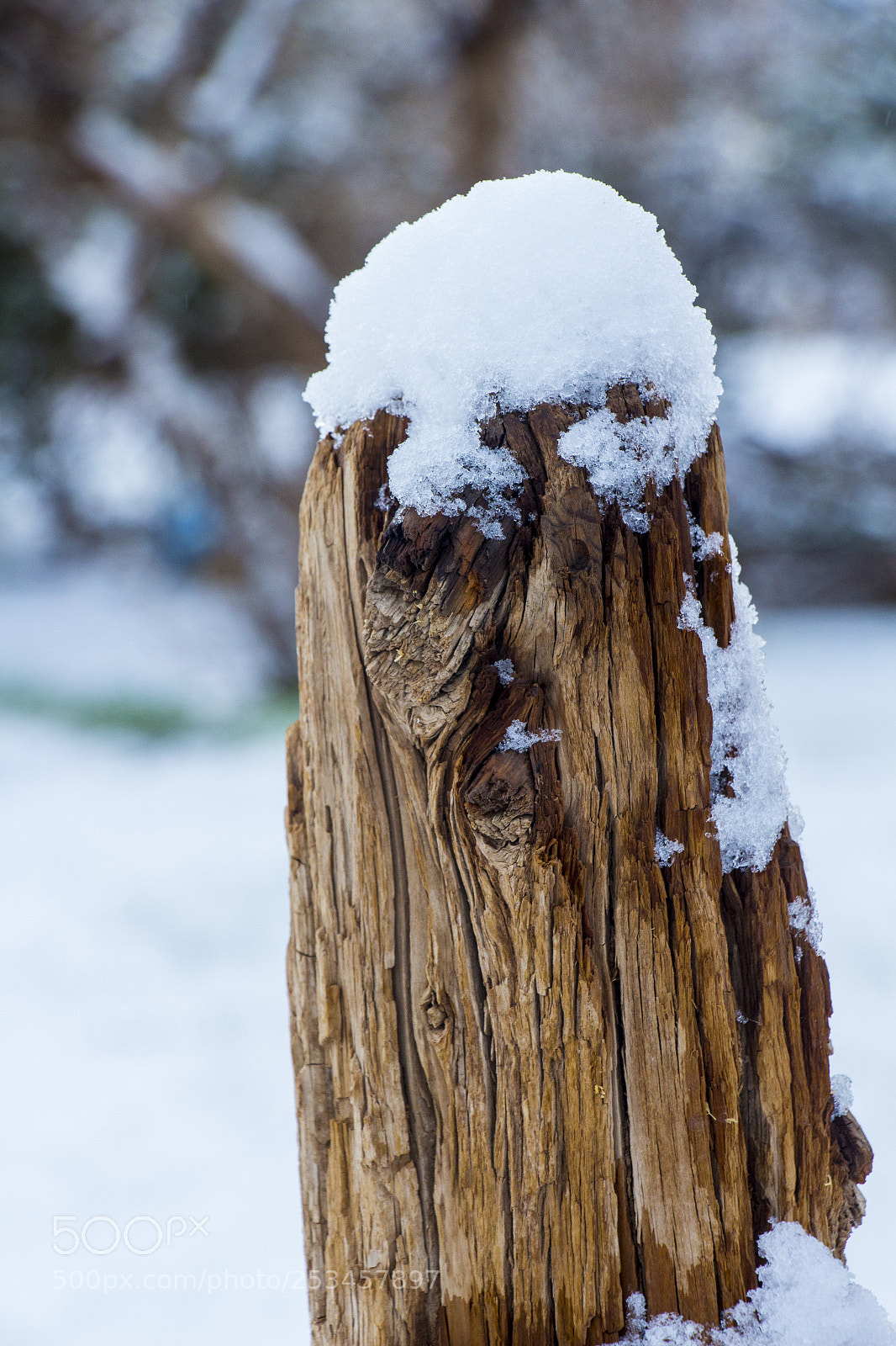Canon EOS 700D (EOS Rebel T5i / EOS Kiss X7i) sample photo. Snow photography