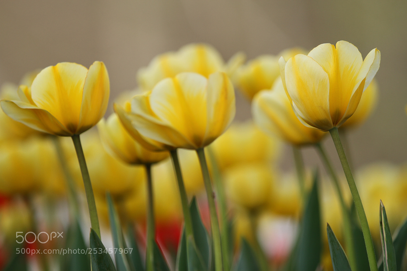 Canon EOS 7D sample photo. Untitled photography